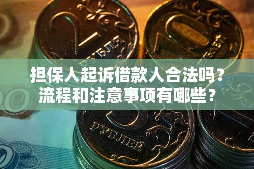 济南担保人起诉借款人合法吗？流程和注意事项有哪些？