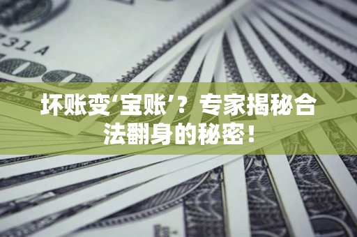 济南坏账变‘宝账’？专家揭秘合法翻身的秘密！