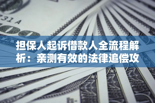 济南担保人起诉借款人全流程解析：亲测有效的法律追偿攻略