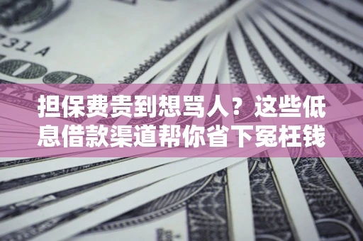 济南担保费贵到想骂人？这些低息借款渠道帮你省下冤枉钱