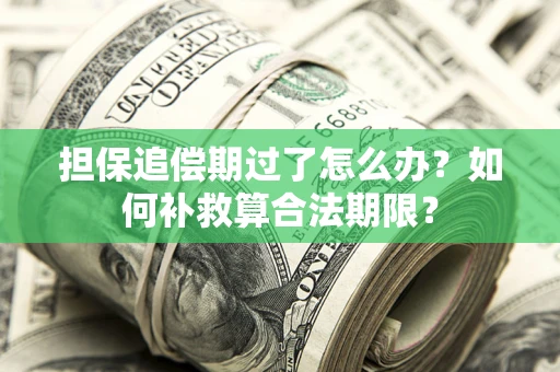 济南担保追偿期过了怎么办？如何补救算合法期限？