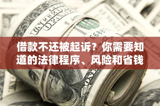 济南借款不还被起诉？你需要知道的法律程序、风险和省钱技巧